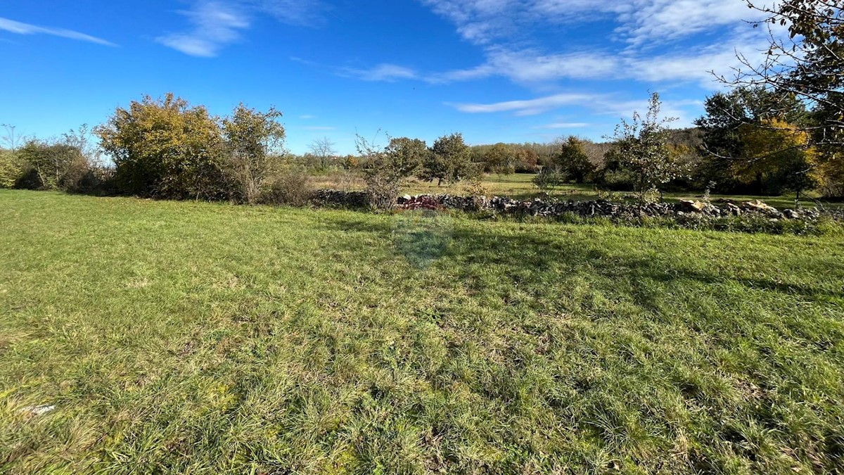 Terreno In vendita - ISTARSKA UMAG