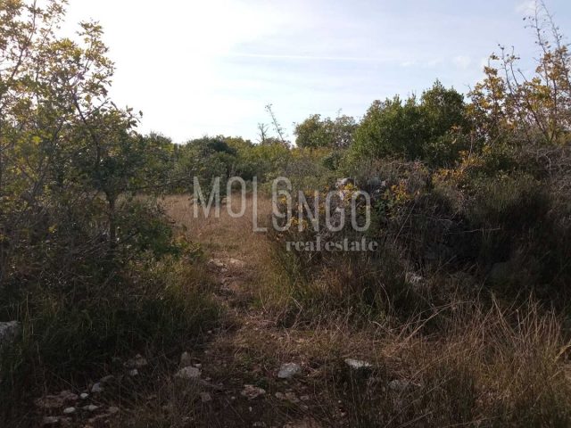 Grundstück zu verkaufen 5463 m² – Vodnjan
