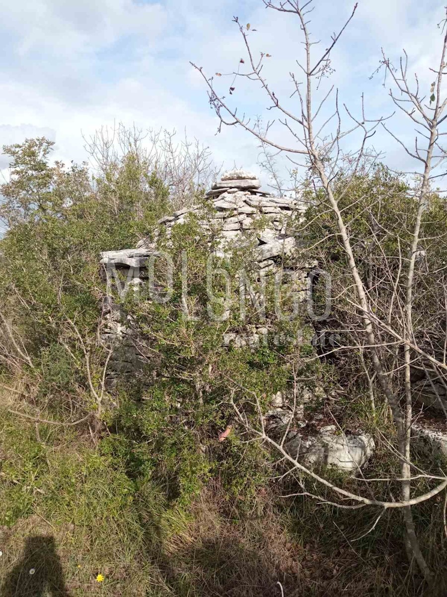 Land For sale - ISTARSKA VODNJAN