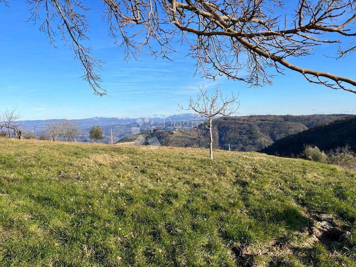 Parcela Na predaj - ISTARSKA PAZIN