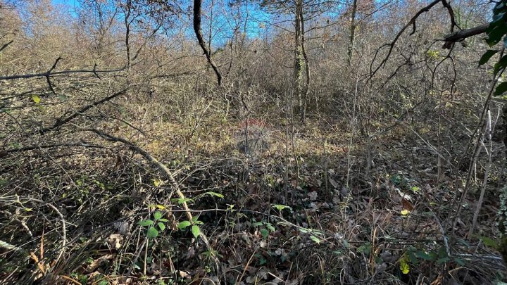 Działka Na sprzedaż - Istarska Tinjan - foto 5/5