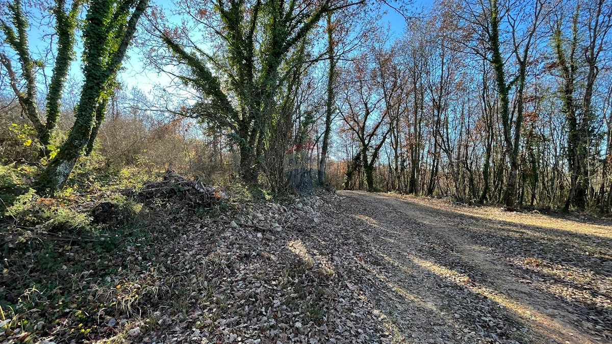 Parcela Na predaj - ISTARSKA TINJAN