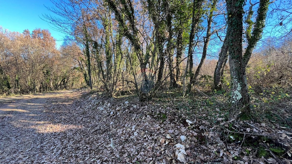Parcela Na predaj - ISTARSKA TINJAN
