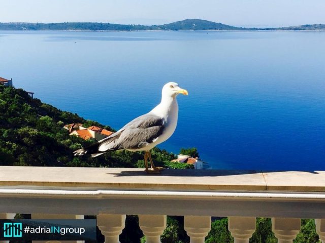 Kuća Na prodaju - Splitsko-dalmatinska Marina - foto 3/42