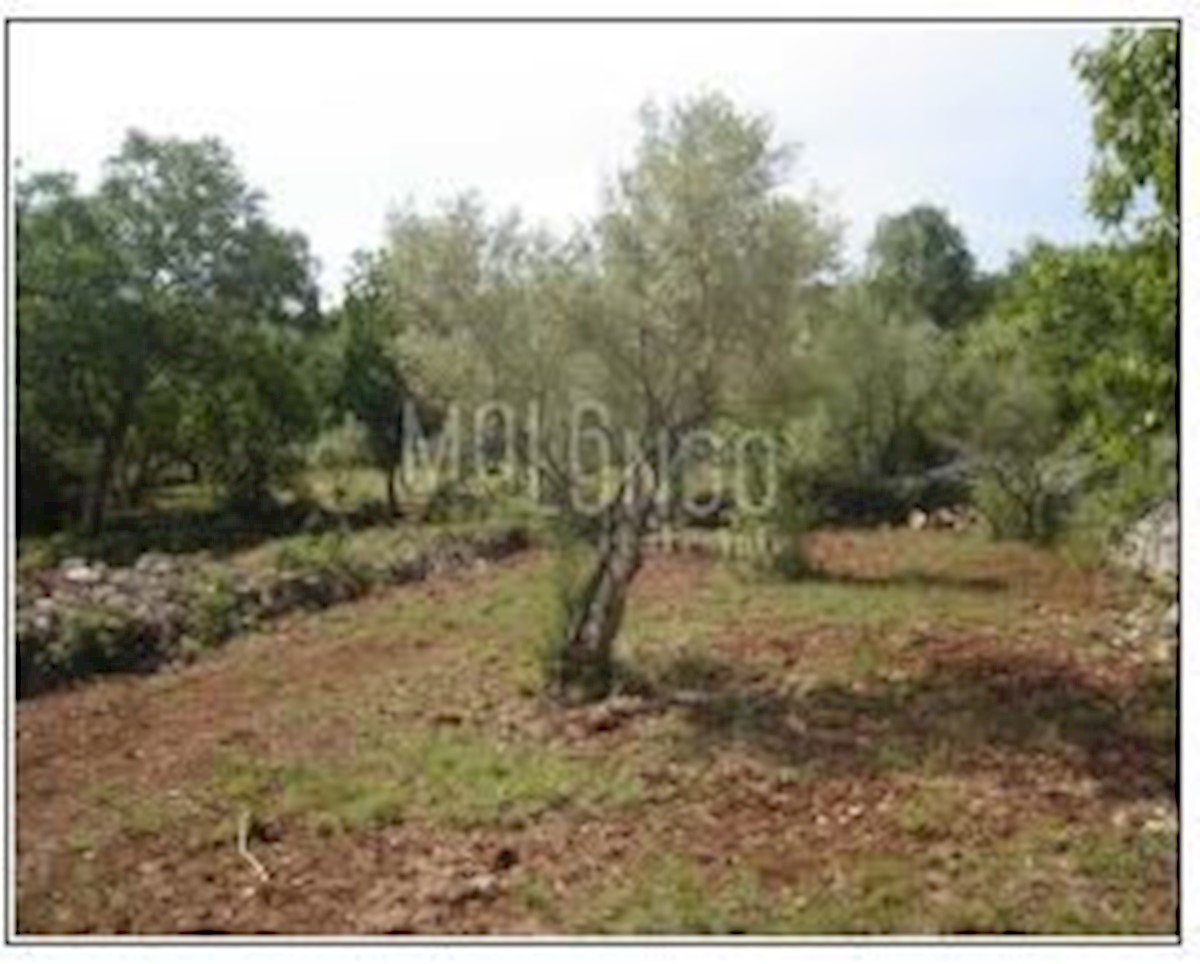 Terrain À vendre - PRIMORSKO-GORANSKA Krk