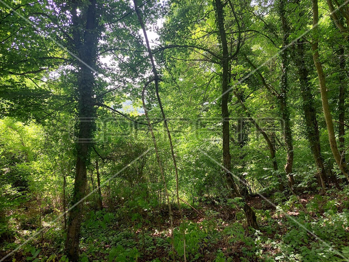 Pozemok Na predaj - KRAPINSKO-ZAGORSKA TUHELJ