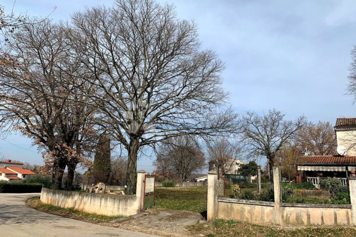 Casa In vendita - Istarska Sveti Lovreč - foto 4/18