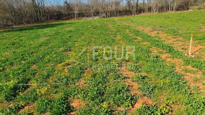 Zemljište na prodaju 416 m² – Vodnjan