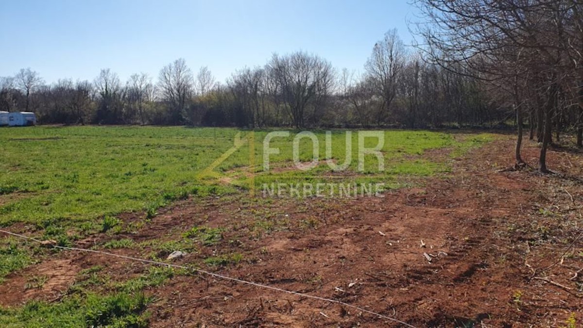 Terrain À vendre - Istarska Vodnjan - foto 1/1