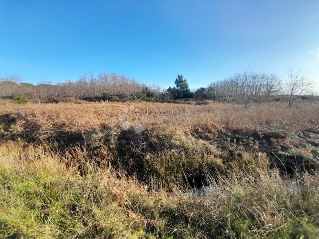 Land For sale - Primorsko-goranska Rab - foto 4/6