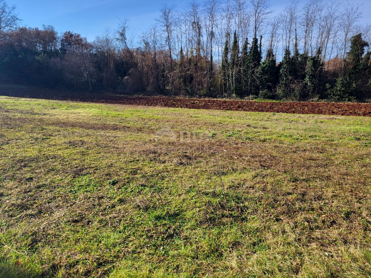 Terrain À vendre - ISTARSKA UMAG