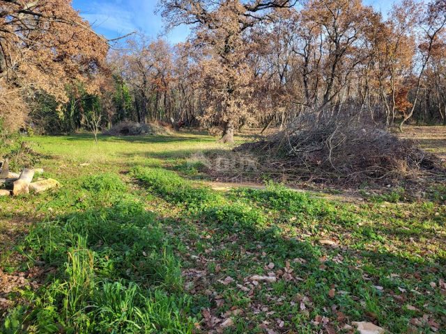 Land for sale 2139 m² – Valica