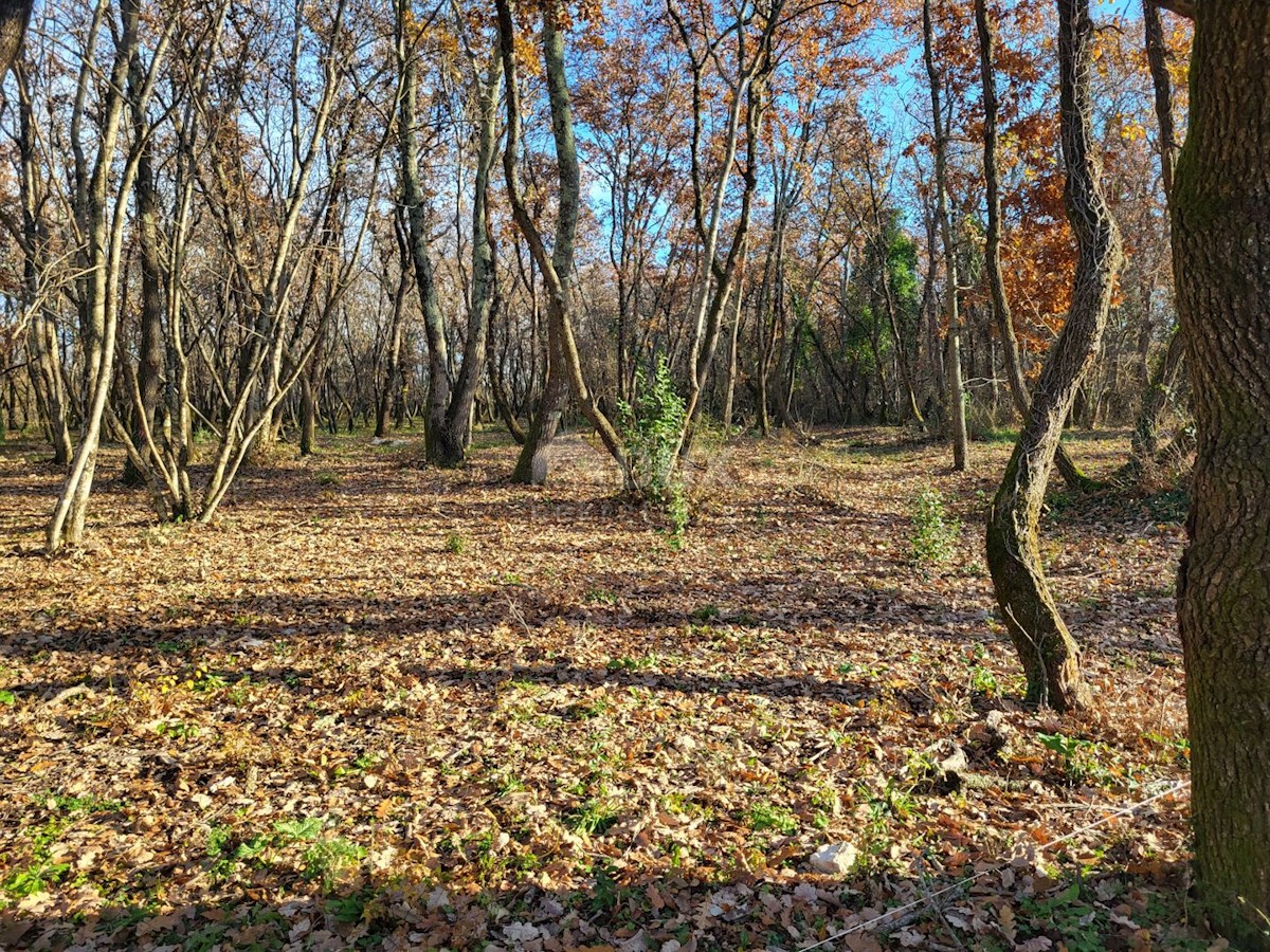 Grundstück Zu verkaufen - ISTARSKA UMAG