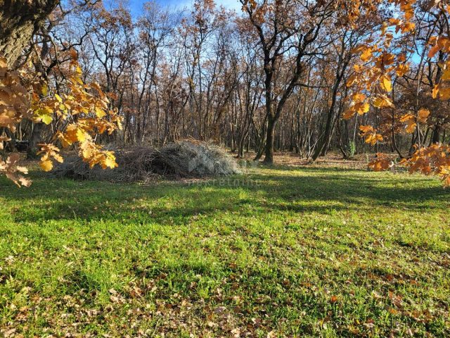 Land for sale 4286 m² – Valica