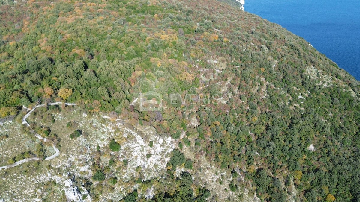 Parcela Na predaj - Primorsko-goranska Mošćenička Draga - foto 2/10