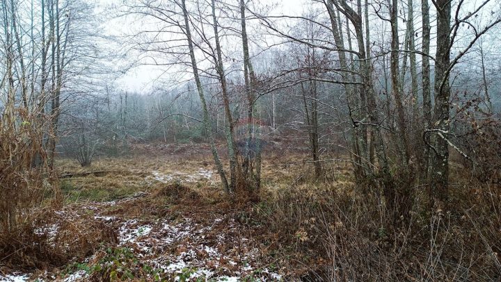 Terrain à vendre 8232 m² – Skakavac