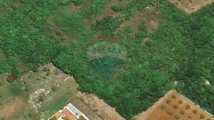 Zemljište na prodaju 809 m² – Tar