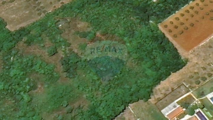 Terreno In vendita - Istarska Tar-vabriga - foto 2/2