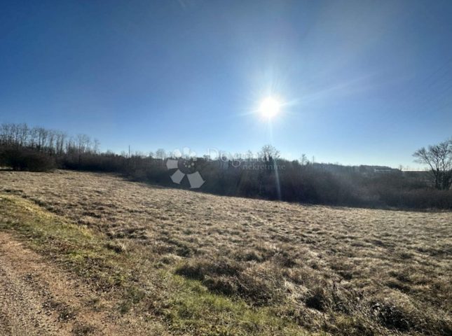 Terrain à vendre 3690 m² – Novaki Motovunski