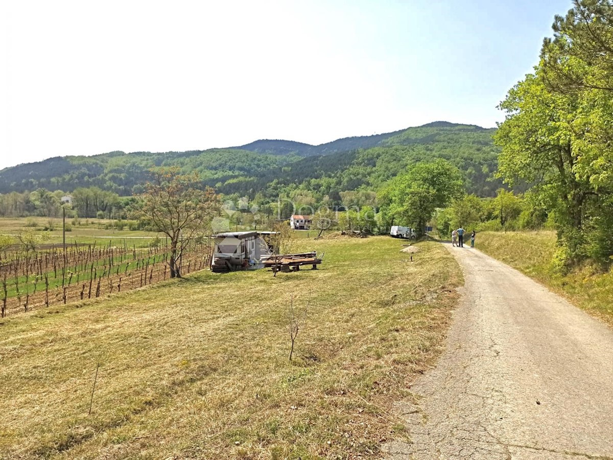 Terreno In vendita - ISTARSKA BUZET