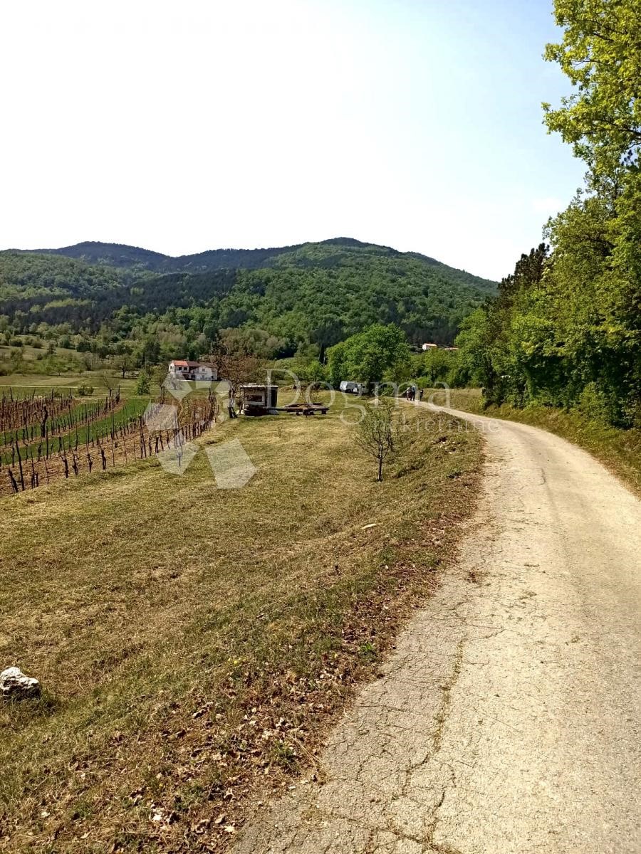 Terreno In vendita - ISTARSKA BUZET