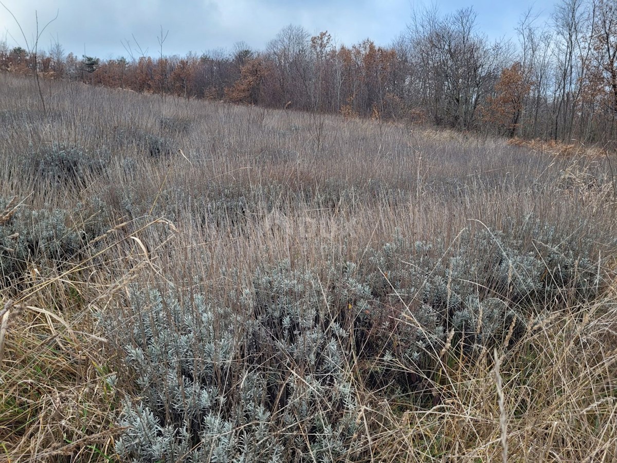 Terreno In vendita - ISTARSKA VIŠNJAN