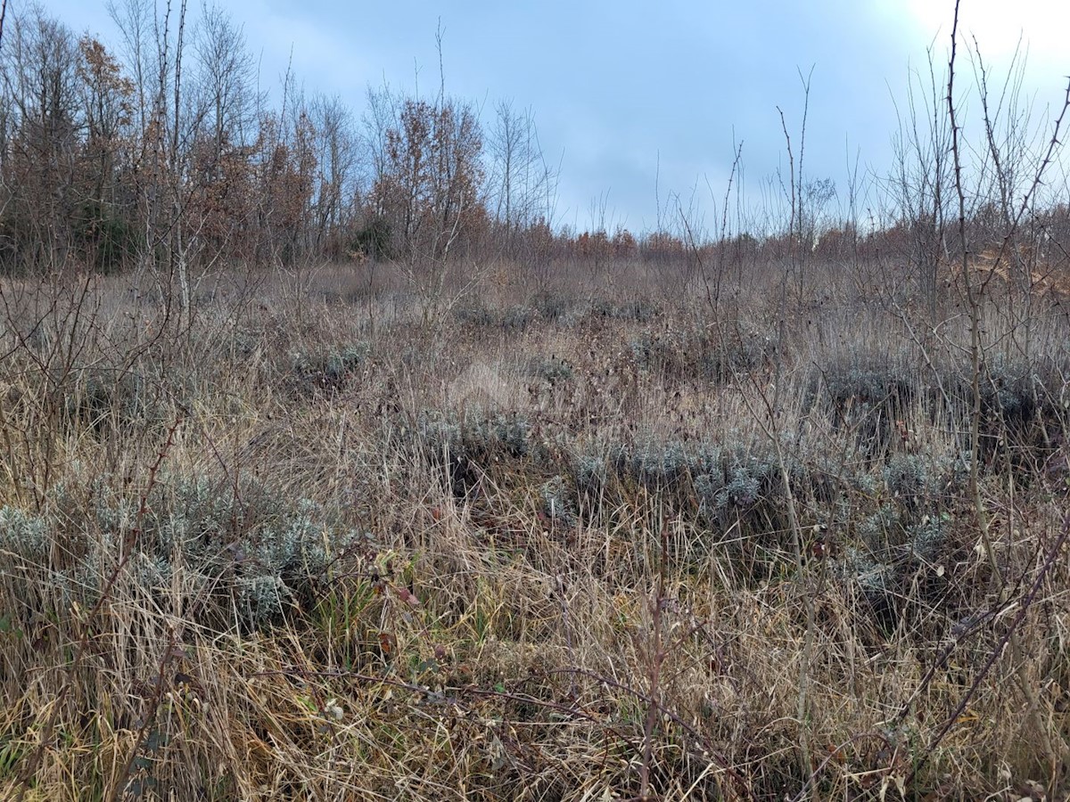 Terreno In vendita - ISTARSKA VIŠNJAN