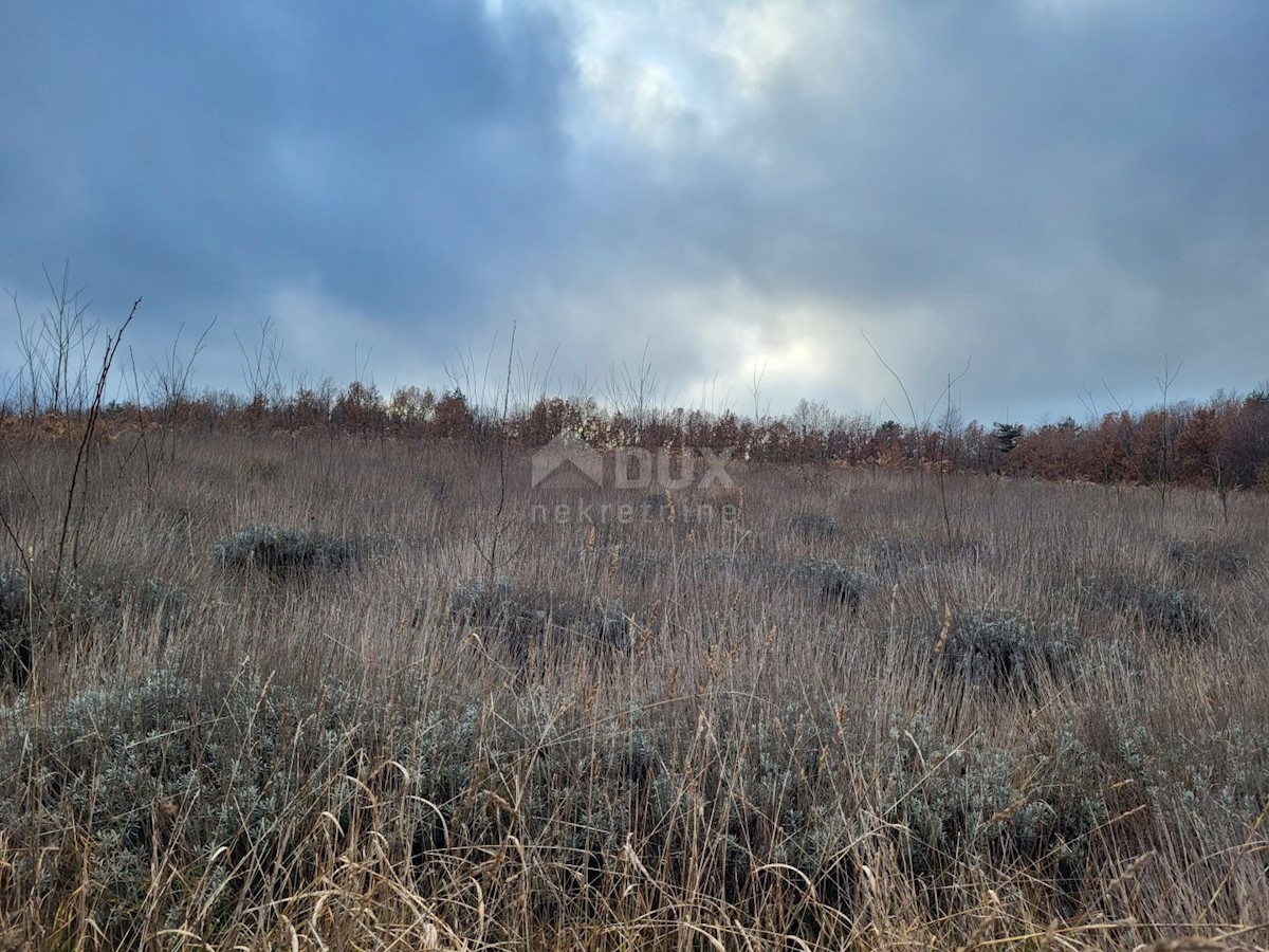 Land For sale - ISTARSKA VIŠNJAN