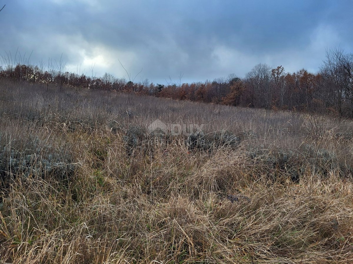 Terreno In vendita - ISTARSKA VIŠNJAN