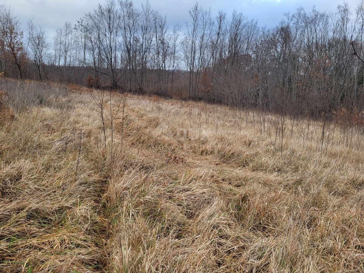 Terreno In vendita - ISTARSKA VIŠNJAN