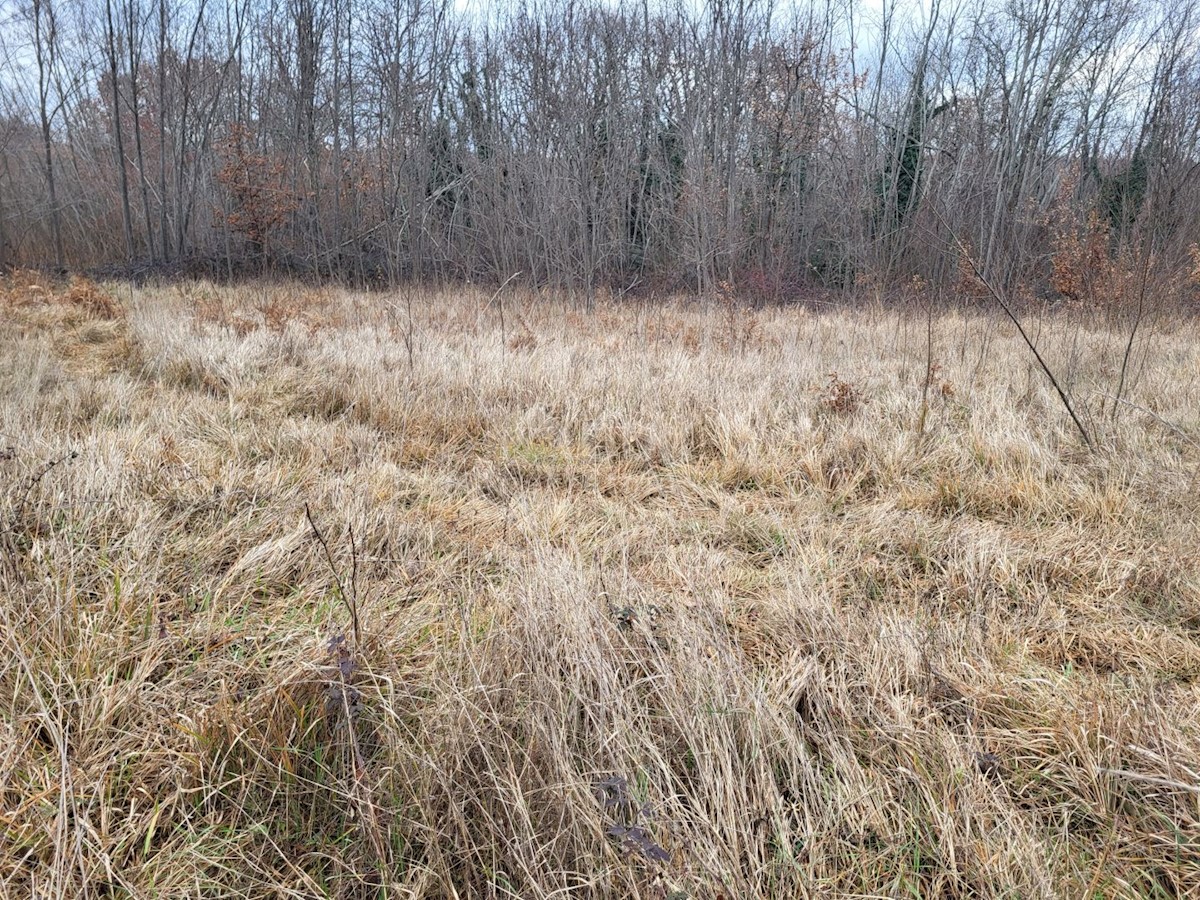 Terreno In vendita - ISTARSKA VIŠNJAN