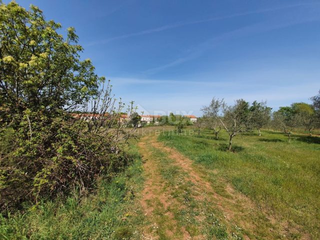 Terreno In vendita - Istarska Marčana - foto 2/3