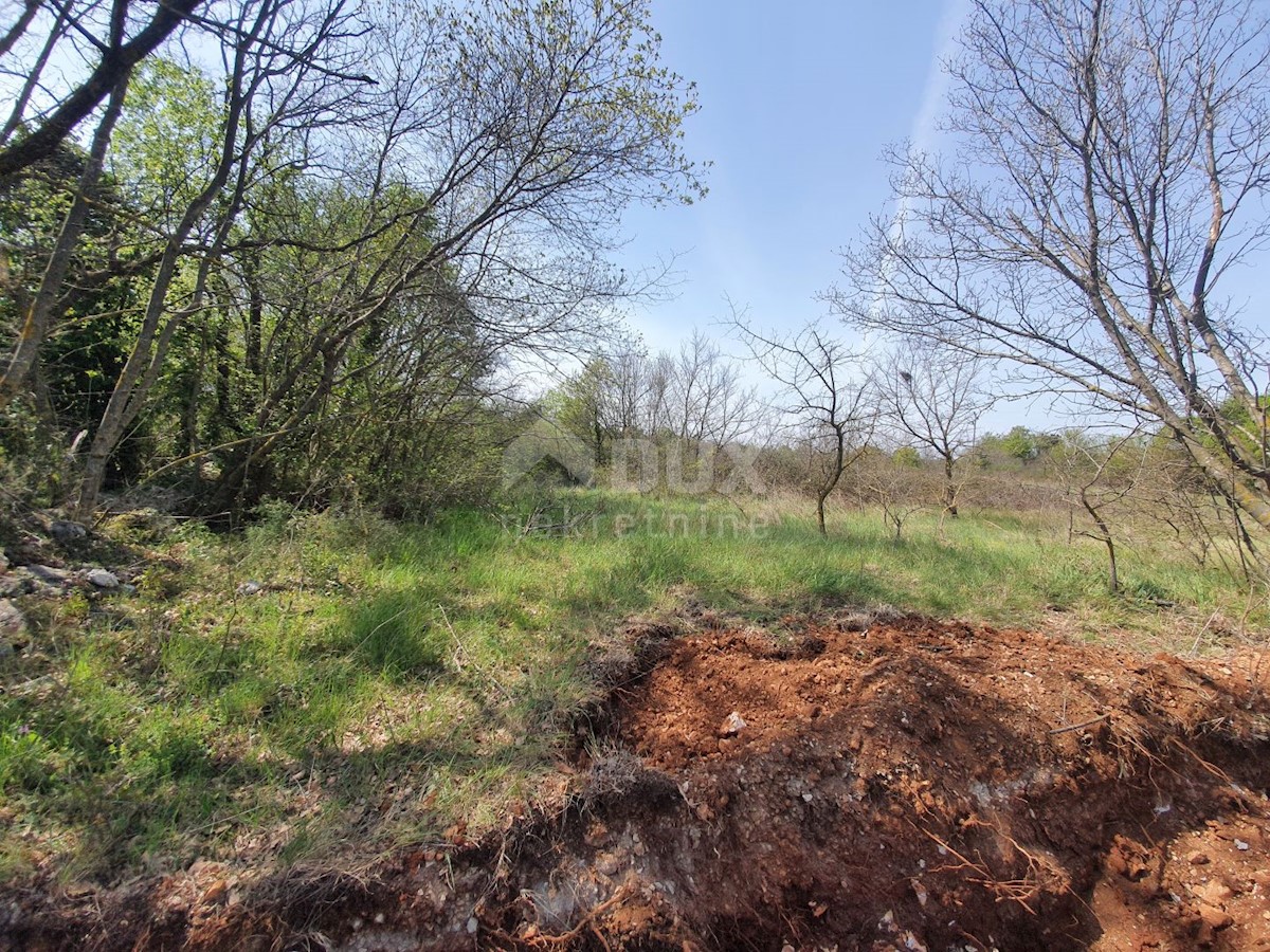 Zemljište Na prodaju - ISTARSKA MARČANA