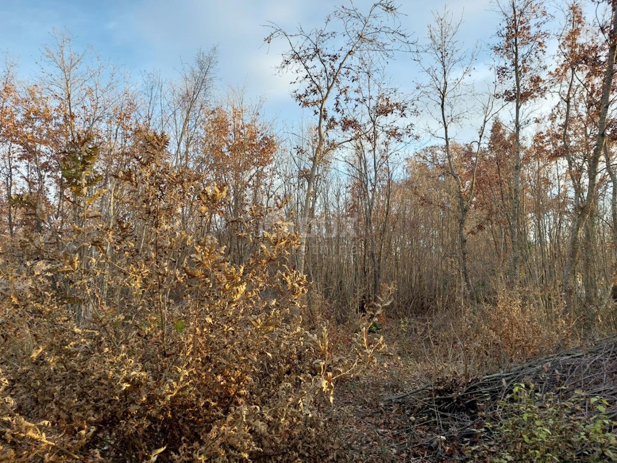 Terreno In vendita - ISTARSKA KANFANAR