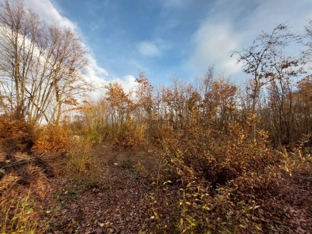 Land For sale - Istarska Kanfanar - foto 2/5