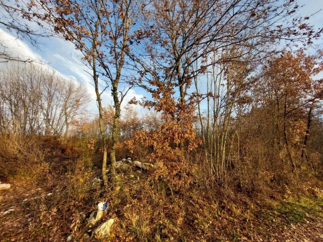 Land For sale - Istarska Kanfanar - foto 5/5