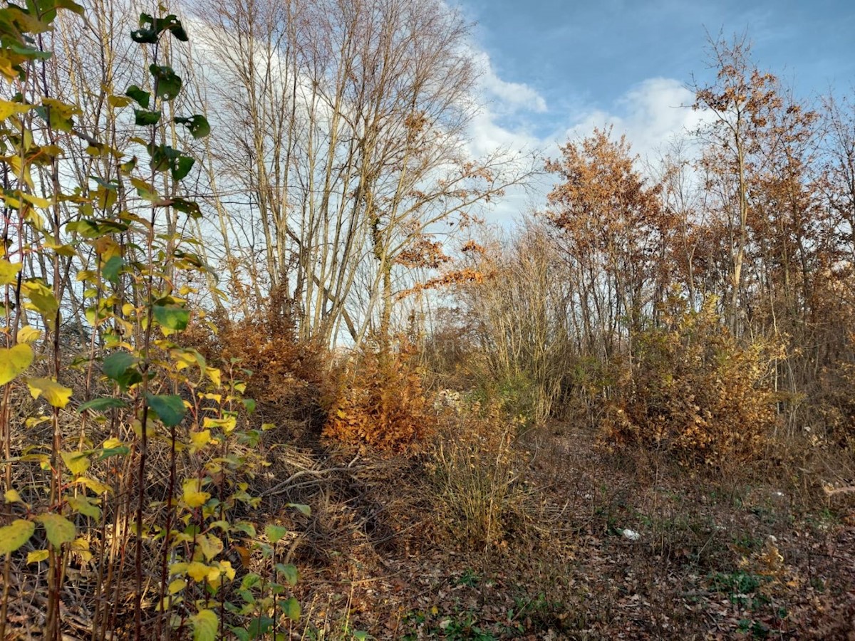 Terreno In vendita - ISTARSKA KANFANAR