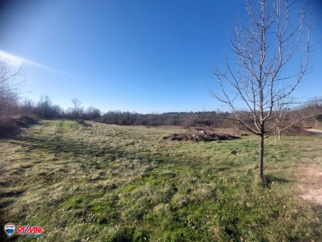 Pozemek na prodej 3950 m² – Mali Golji