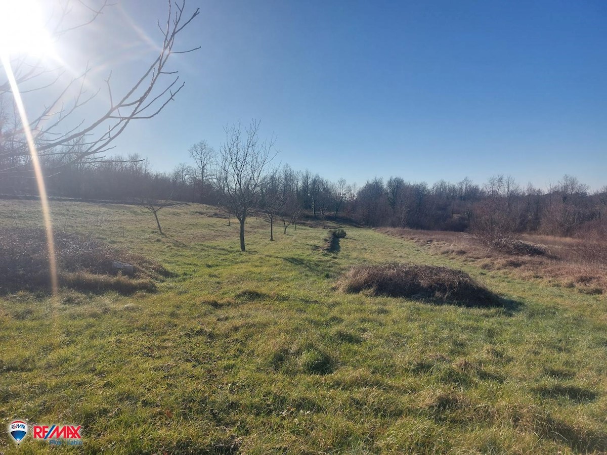 Terreno In vendita - ISTARSKA SVETA NEDELJA