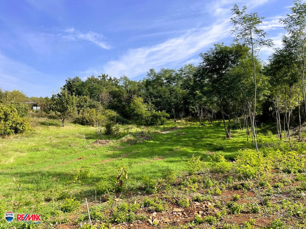 Terreno In vendita - ISTARSKA SVETA NEDELJA