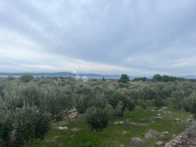 Land for sale 5500 m² – Sutivan