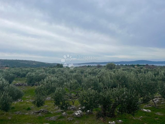 Land For sale - Splitsko-dalmatinska Brač - foto 3/6