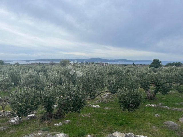 Land For sale - Splitsko-dalmatinska Brač - foto 4/6