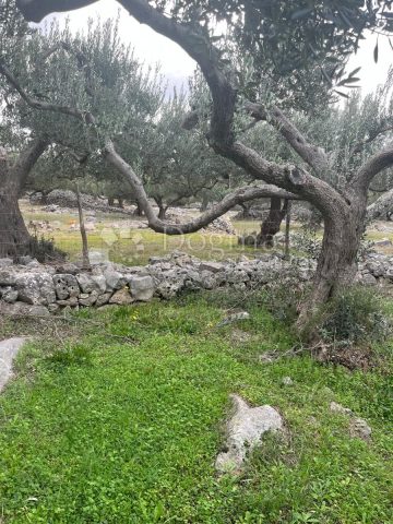 Land For sale - Splitsko-dalmatinska Brač - foto 5/6