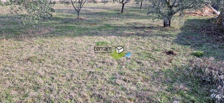 Zemljište na prodaju 3112 m² – Vodnjan