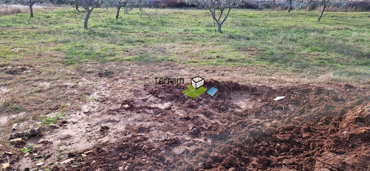 Land For sale - ISTARSKA VODNJAN