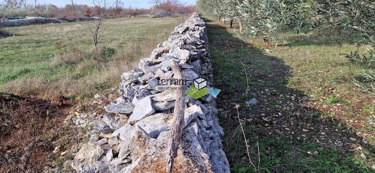 Land For sale - ISTARSKA VODNJAN