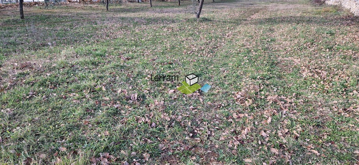 Land For sale - ISTARSKA VODNJAN