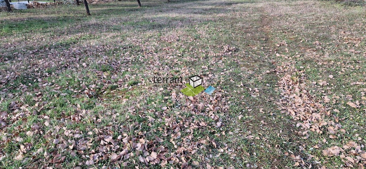 Land For sale - ISTARSKA VODNJAN