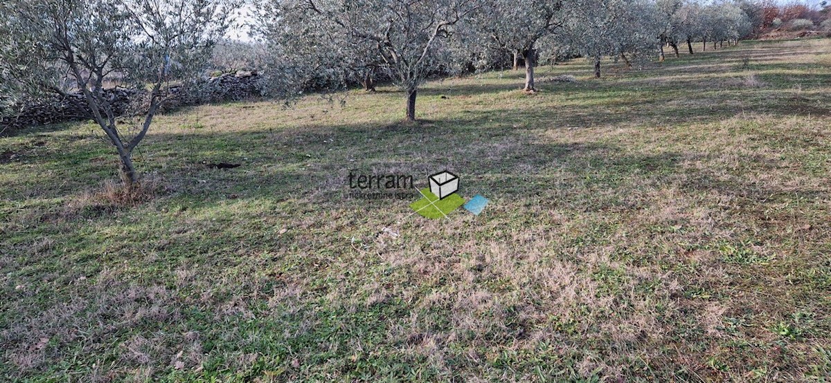 Land For sale - ISTARSKA VODNJAN